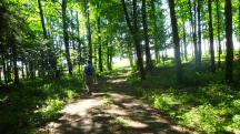  Blick auf die Wanderstrecke 