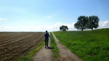  Blick auf die Wanderstrecke 