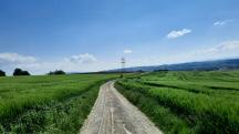  Wanderroute auf der Kreuzbirkenstrae 
