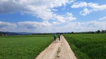  Blick auf die Wanderstrecke 