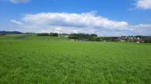  Fernblick zurck nach Gttsbach 
