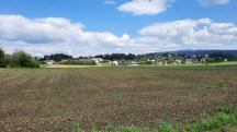  nochmals ein Fernblick nach Gttsbach 
