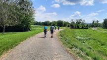  Blick auf die Wanderstrecke zur Ybbs 