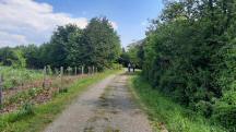  Blick auf die Wanderstrecke entlang der Ybbs 