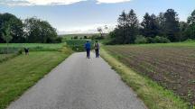  Blick auf die Wanderstrecke auf dem Hintaus-Weg 