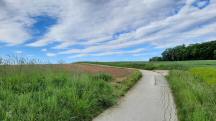  Blick auf die Wanderstrecke zum Friedhof 