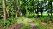  Blick auf die Wanderstrecke 