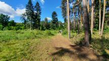  Blick auf die Wanderstrecke 