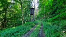  Blick auf die Wanderstrecke 