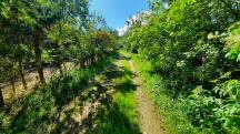  Blick auf die Wanderstrecke am Jungenberg 