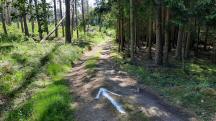  Blick auf die Wanderstrecke am Jungenberg 