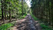  Wanderroute auf dem Europa-Kreuzweg 