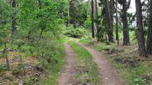 Blick auf die Wanderstrecke 