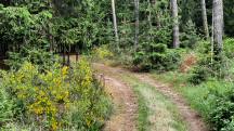  Blick auf die Wanderstrecke 