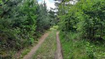  Blick auf die Wanderstrecke 