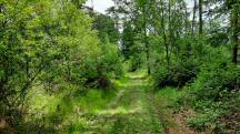  Blick auf die Wanderstrecke 