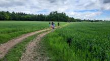 Blick auf die Wanderstrecke - auf dem Zemlinger Rundwanderweg