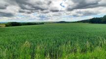  schner Fernblick nach Zemling 