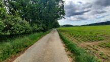 Blick auf die Wanderstrecke - auf dem Zemlinger Rundwanderweg