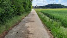 Blick auf die Wanderstrecke - auf dem Zemlinger Rundwanderweg