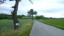Blick auf die Wanderstrecke bei Weisching mit Infotafel fr die Wanderer 