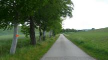 Blick auf die Wanderstrecke auf der Landstrae Richtung Rhrenbach