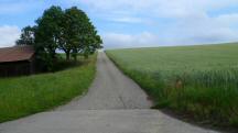  Blick auf die Wanderstrecke 