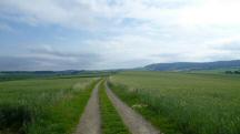  Blick auf die Wanderstrecke 