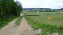 Blick auf die Wanderstrecke zur Kellergasse Untergrafendorf