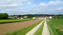 Blick auf die Wanderstrecke nach Untergrafendorf 