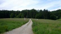  Blick auf die Wanderstrecke nach der Streckenteilung