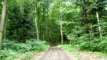  Blick auf die Wanderstrecke 