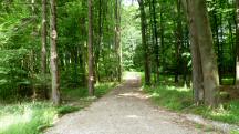  Blick auf die Wanderstrecke 