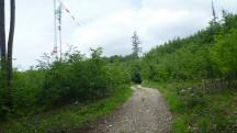  Blick auf die Wanderstrecke 