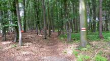  Blick auf die Wanderstrecke 