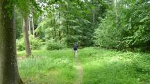  Blick auf die Wanderstrecke 