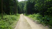  Blick auf die Wanderstrecke 