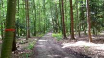  Blick auf die Wanderstrecke 