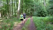  Blick auf die Wanderstrecke 