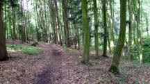  Blick auf die Wanderstrecke 