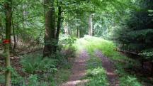  Blick auf die Wanderstrecke 