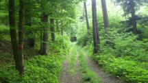  Blick auf die Wanderstrecke 