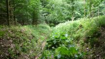  Blick auf die Wanderstrecke 