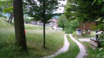  Blick auf die Wanderstrecke bei Mechters 