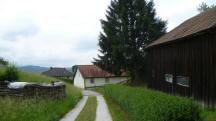  Blick auf die Wanderstrecke bei Mechters 