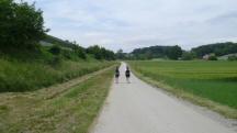  Blick auf die Wanderstrecke entlang der A1 