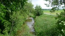 Blick auf die Perschling flussabwrts und zur Wanderstrecke