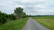  Blick auf die Wanderstrecke entlang der Perschling 