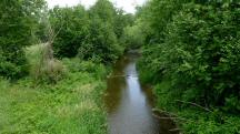  Blick auf die Perschling bei Untertiefenbach 