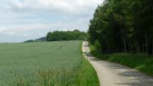  Blick auf die Wanderstrecke 